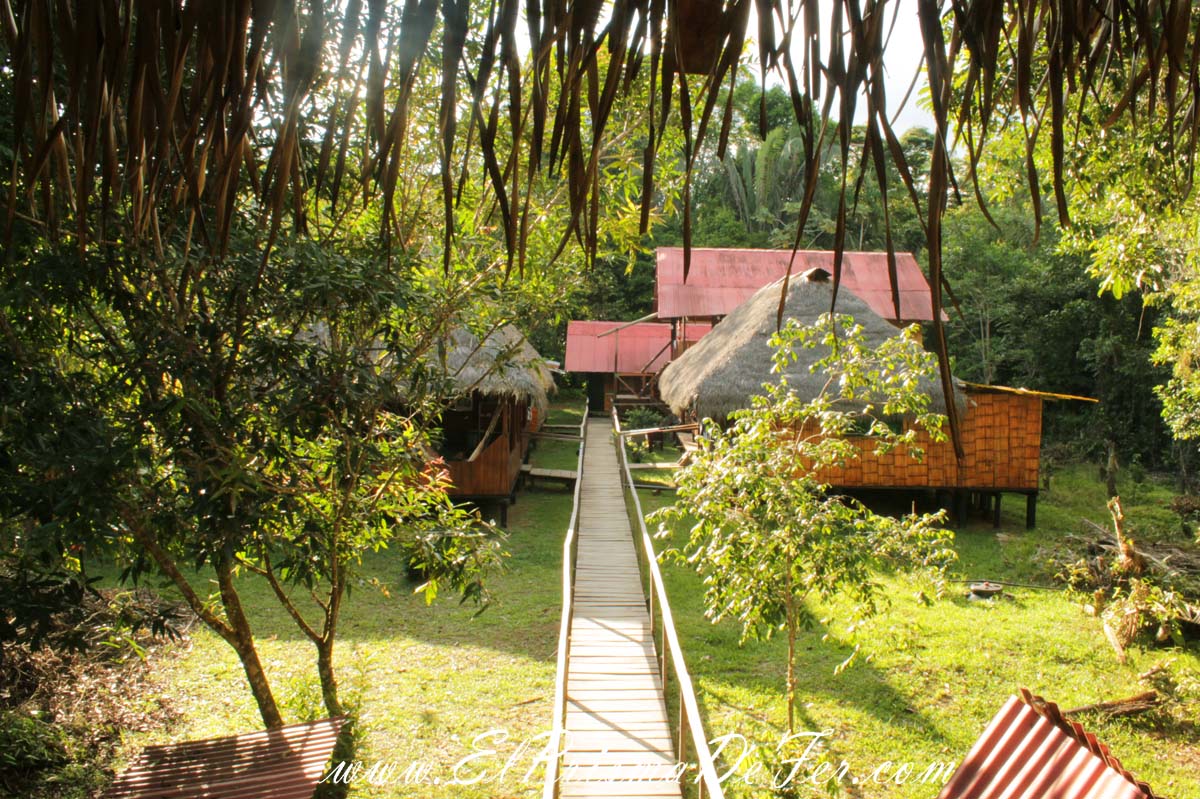 Cuyabeno Dolphin Lodge