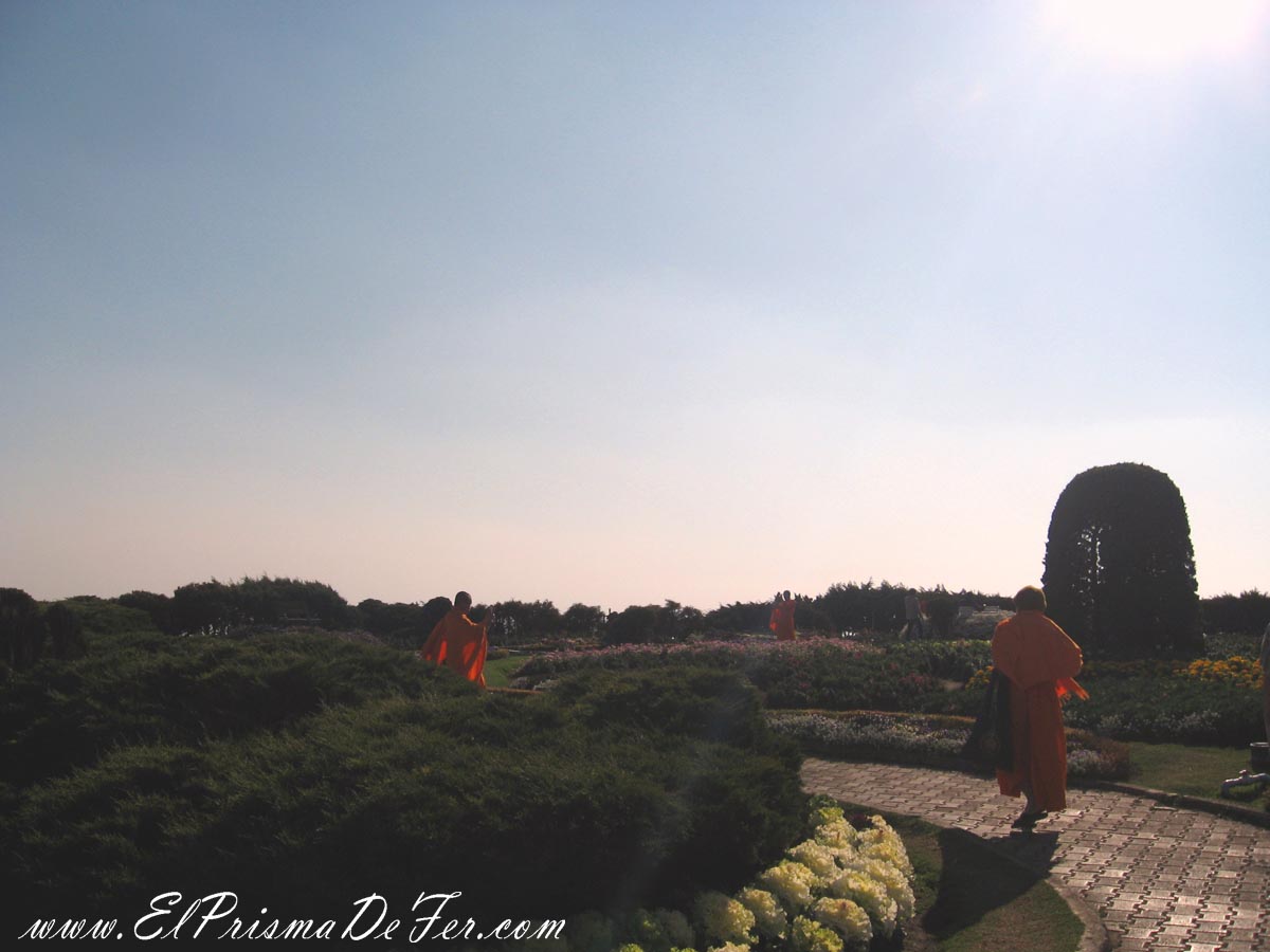 Monjes yendo de un lado a otro