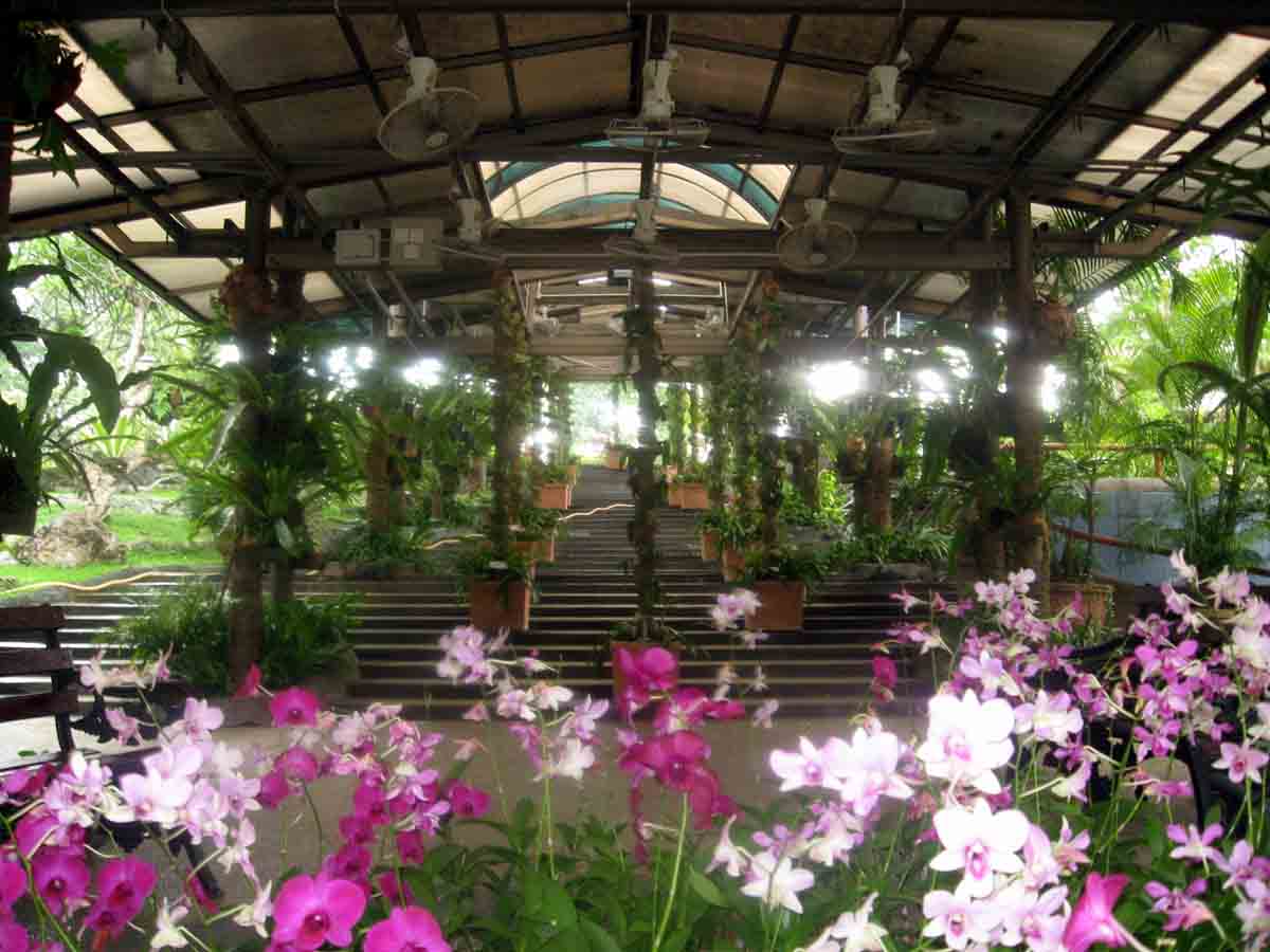 Jardín botanico dentro de Lake Gardens