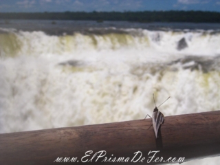 Cataratas del Iguazú - Argentina
