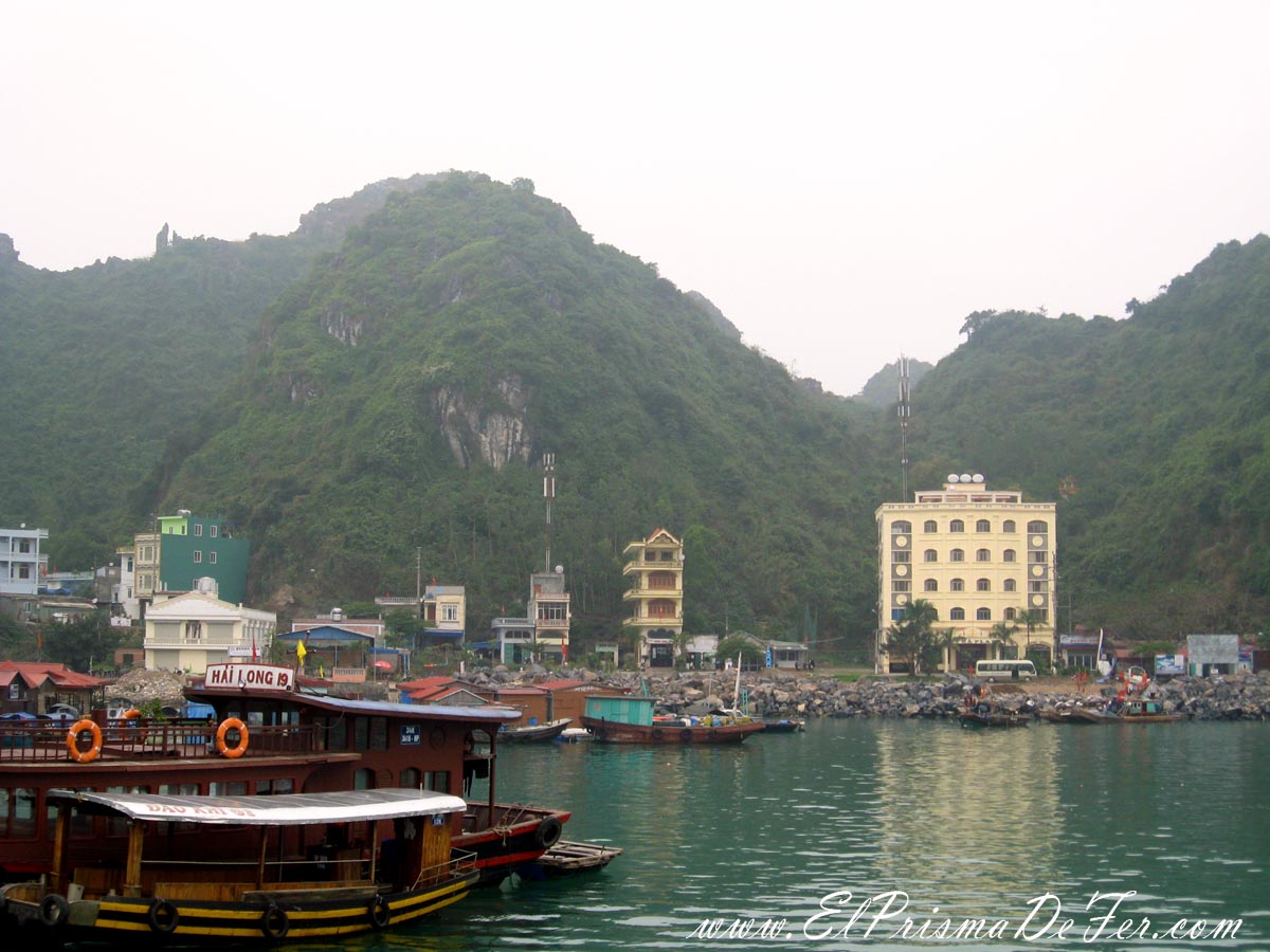 Cat Ba Center