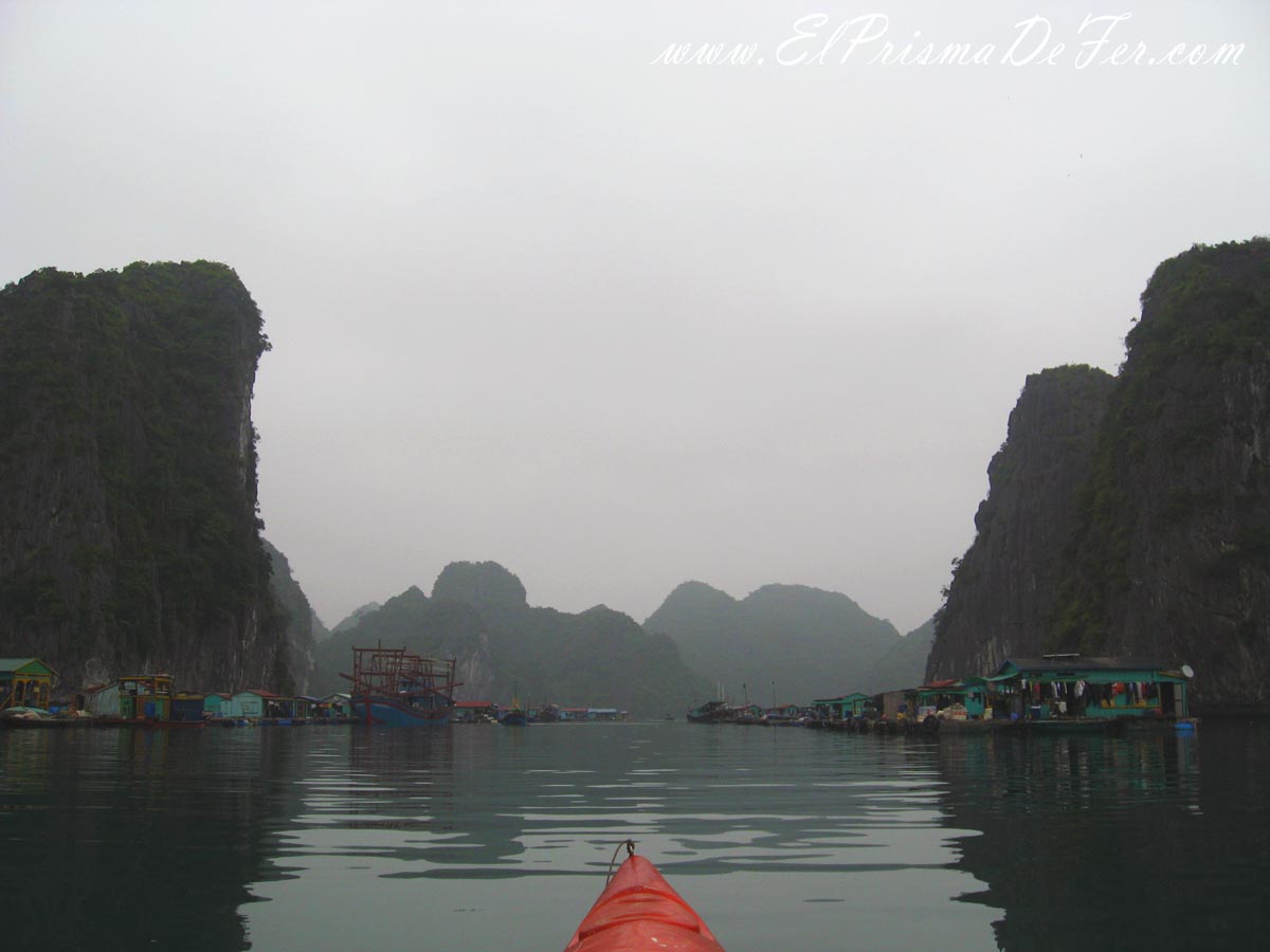 Vista desde mi kayak