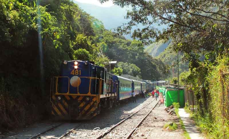 Tren de pasajeros y carga hacia Aguas Calientes