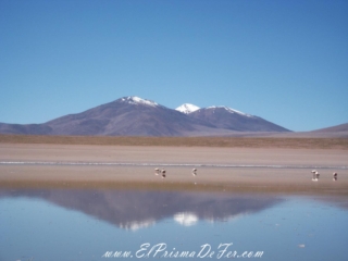 Circuito Salar de Uyuni - Bolivia