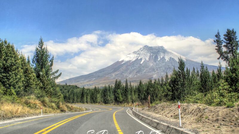 Galería de fotos: Ecuador