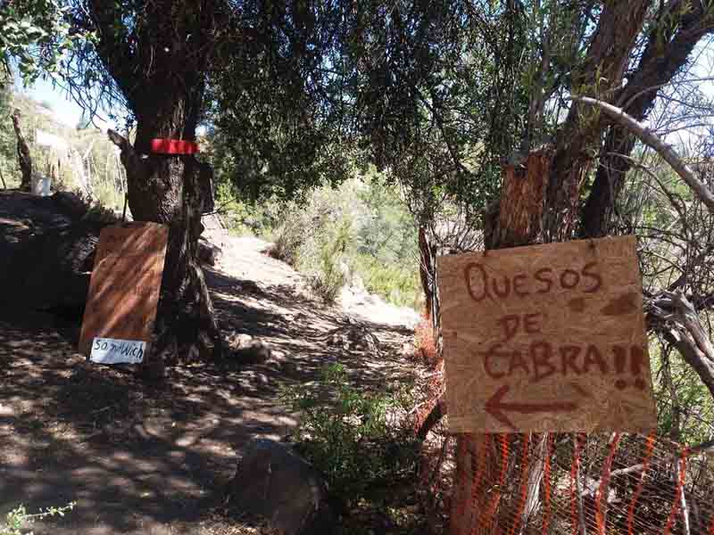 Podés comprar bebidas y queso de cabra