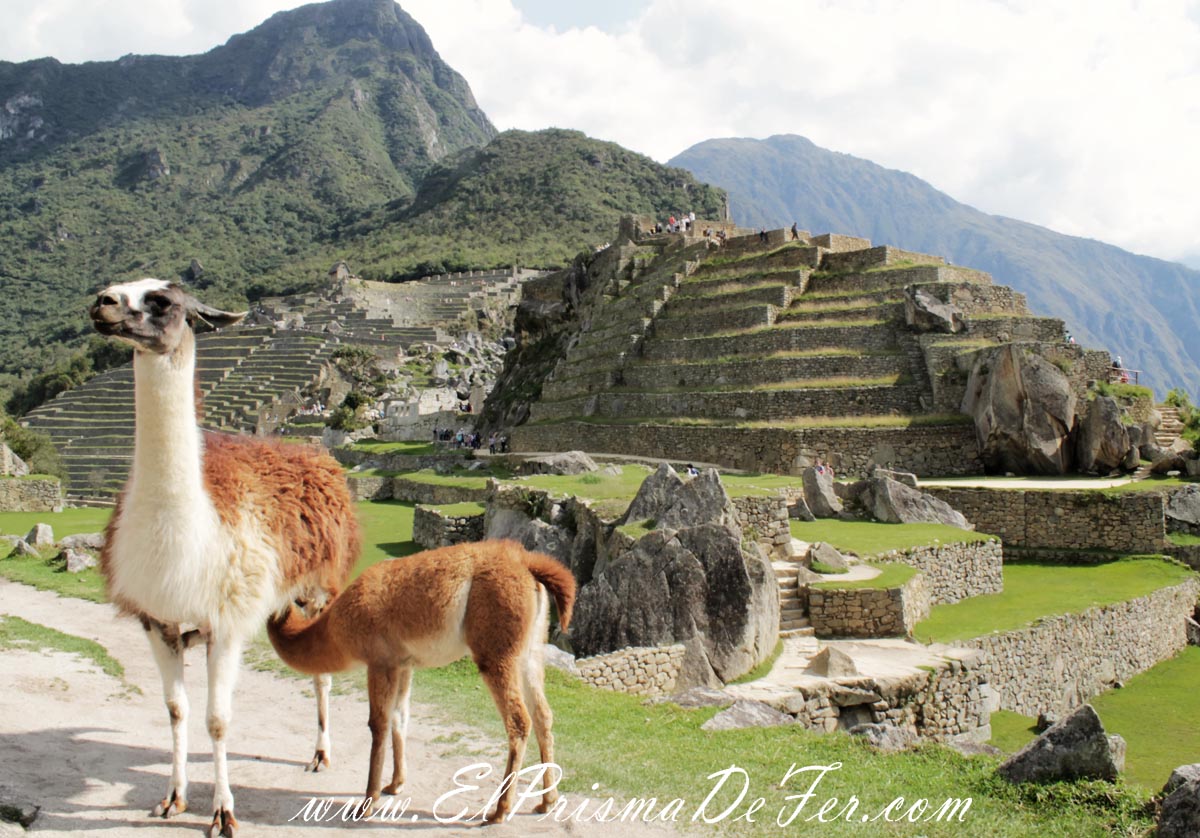 Machu Pichu - Perú