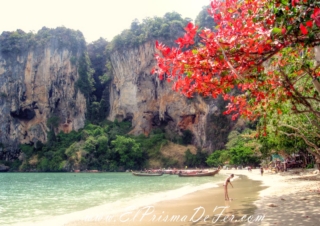 Tonsai - Tailandia