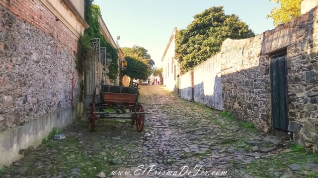 Colonia