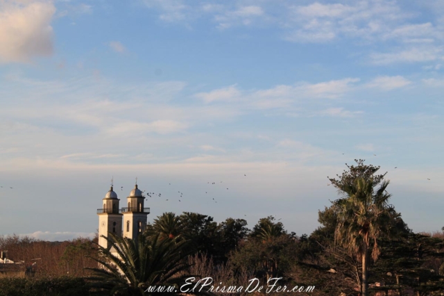 Colonia