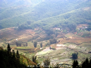 Sapa - Vietnam Sapa - Vietnam