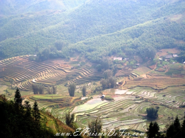 Sapa - Vietnam