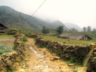 Sapa - Vietnam Sapa - Vietnam