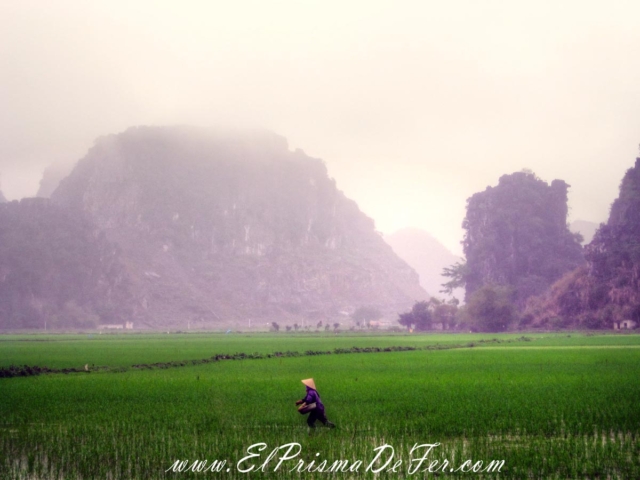 Ninh Binh - Vietnam