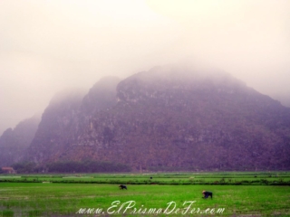 Ninh Binh - Vietnam Ninh Binh - Vietnam