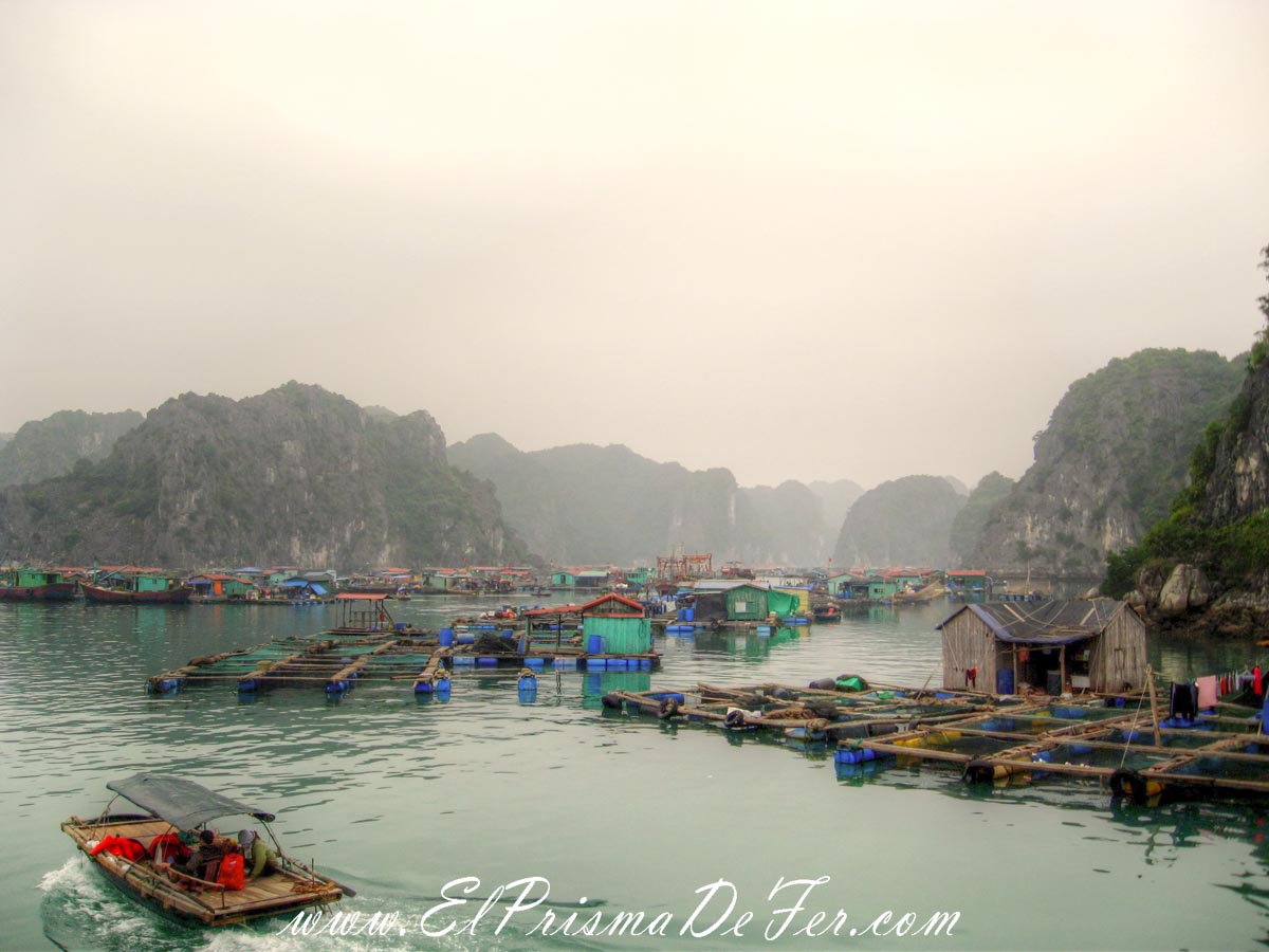 Aldea de Pescadores en Cat Ba, Halong Bay