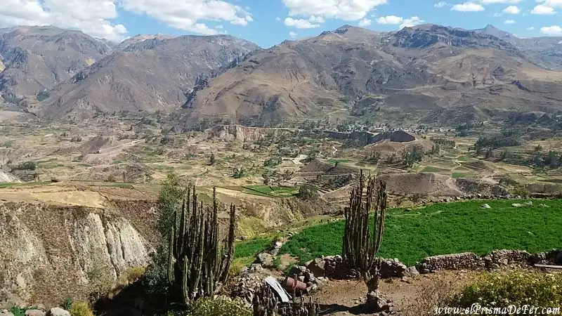 Paisajes del Cañón del Colca - Perú