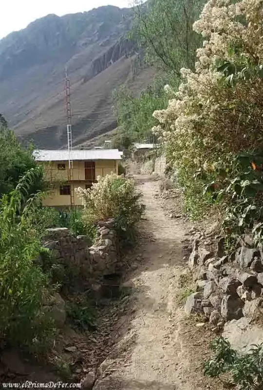Camino entre los poblados Cosñinhua y Malate