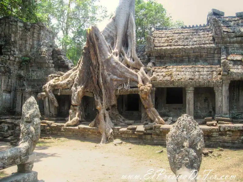 La naturaleza deja su marca en las ruinas de Preah Khan