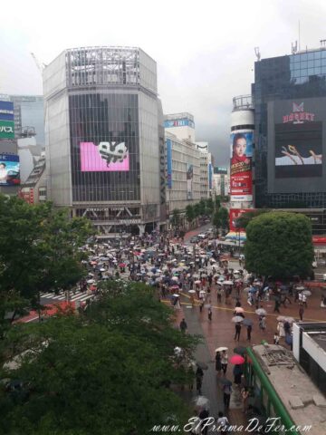 Cruce de Shibuya