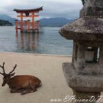 Torii flotante en Isla Miyajima