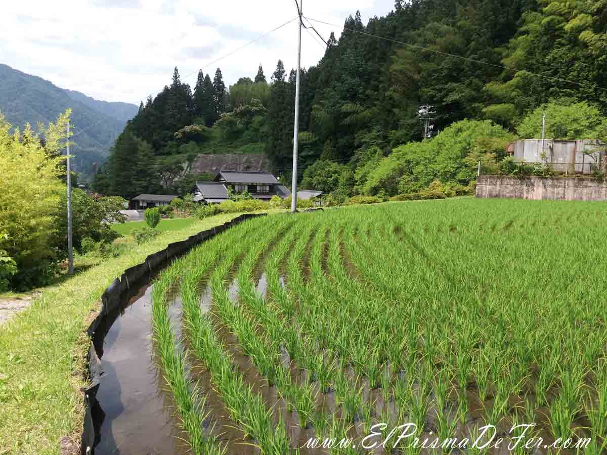 Camino entre Tsumago y Nagisio