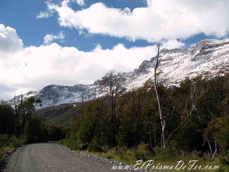 A medio camino el paisaje cambia por un entorno mas boscoso