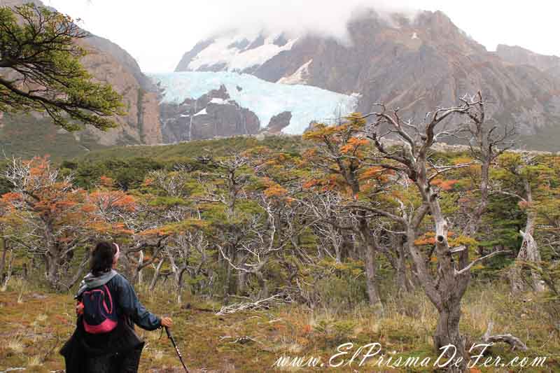 Mirador al Glaciar Piedras Blancas en el Chaltén