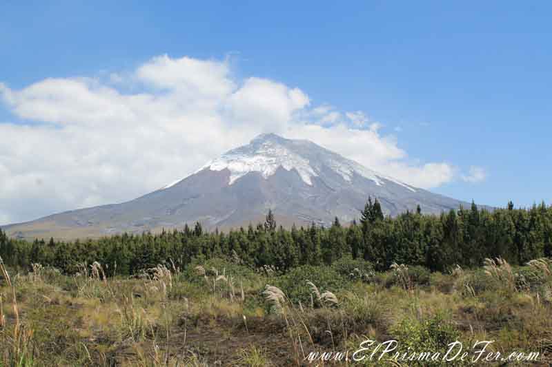 Vistas del Volcán dentro del Parque Cotopaxi
