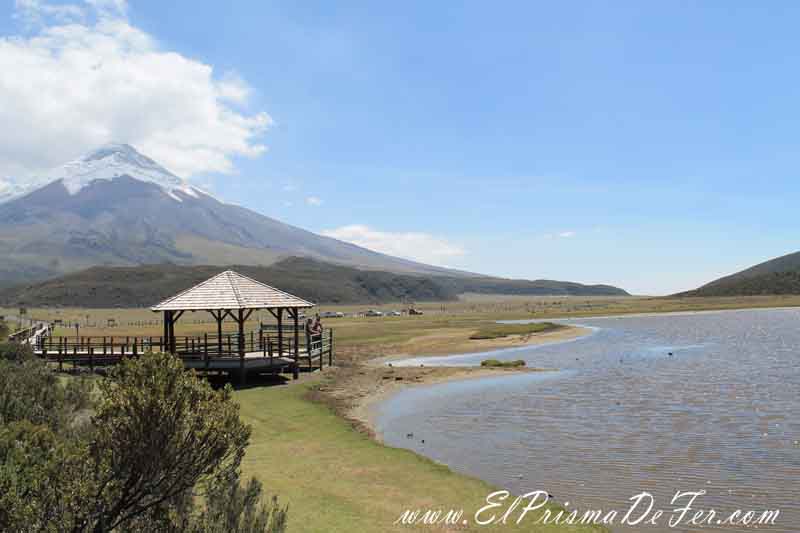 Vistas del Volcán Cotopaxi desde la Laguna de Limpiopungo