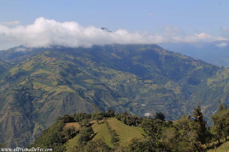 Mirador desde la Casa del Árbol - Baños