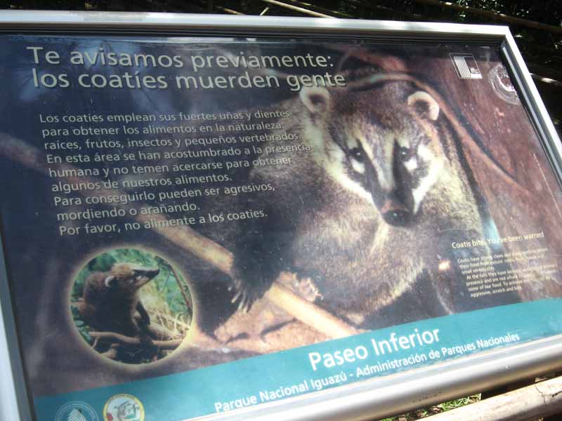 Cartel de Advertencia por los Coaties