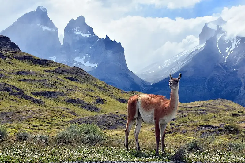 Torres del Paine