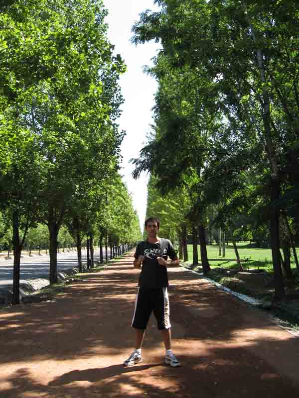 Sendero dentro del Parque Gral San Martín