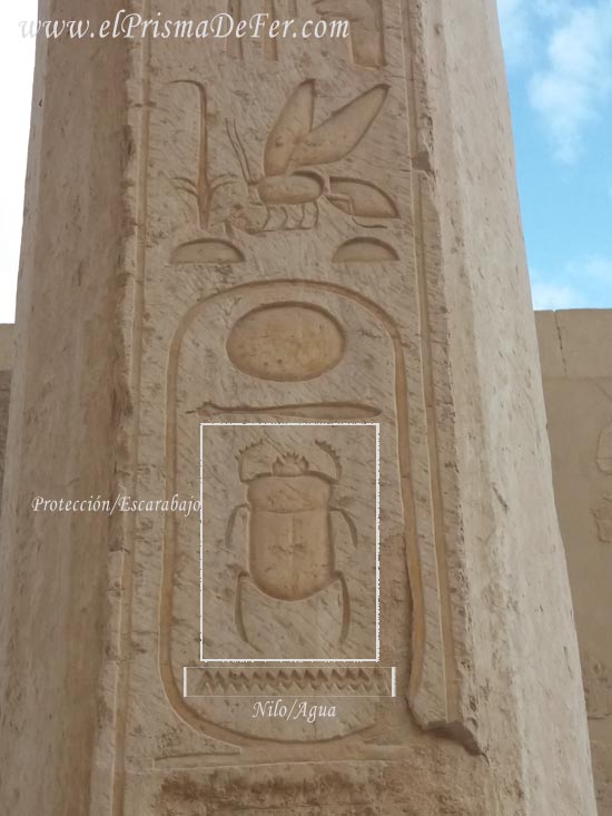 Jeroglíficos del escarabajo de la protección y del Nilo