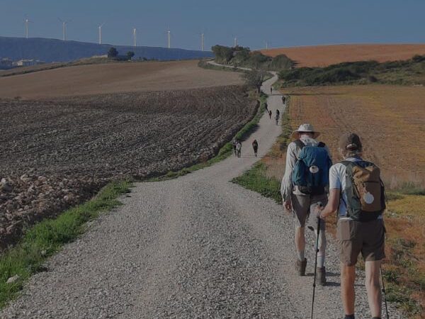 Downloadable guide to the Camino de Santiago: French Route (English)