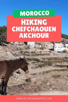 Chefchaouen to Akchour - The Best Hike in Northern Morocco