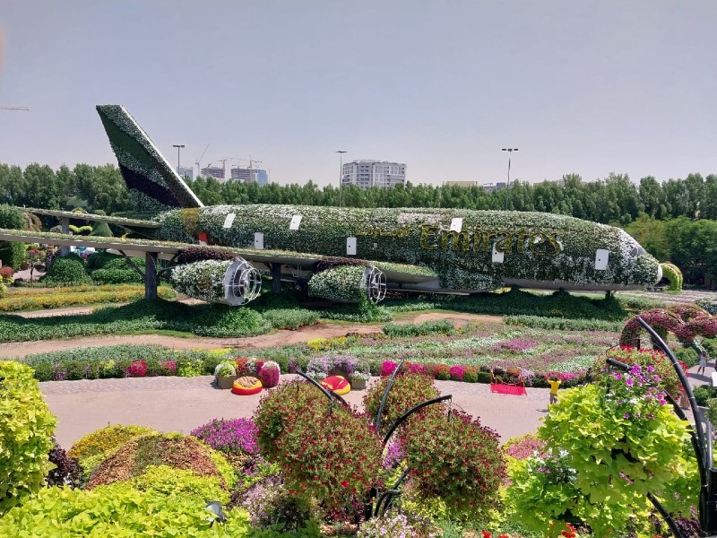 Avión cubierto de flores en el Miracle Garden de Dubai