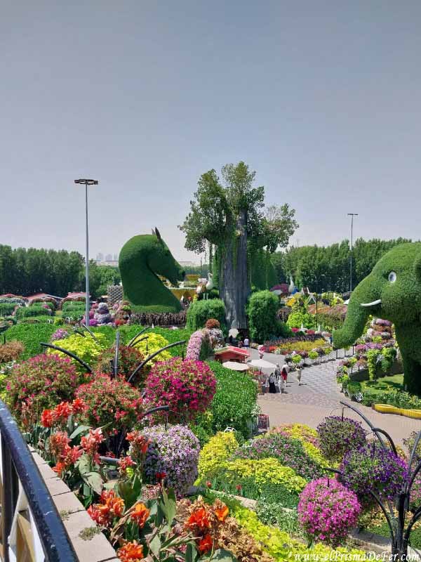 Dubai Miracle Garden