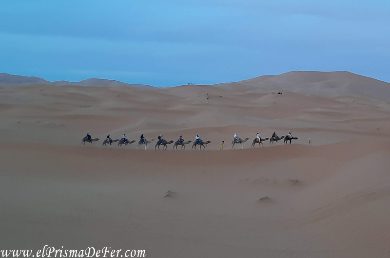 Turistas en una caravana de camellos en Erg Chebbi
