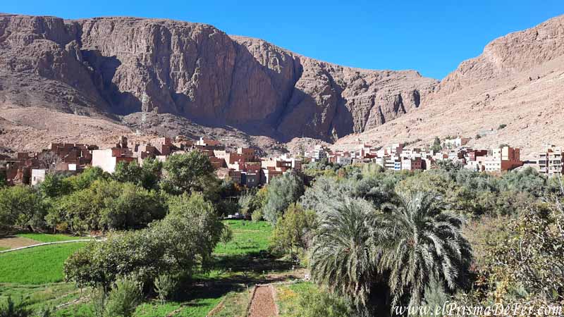 Oasis de Palmeras de Tinghir