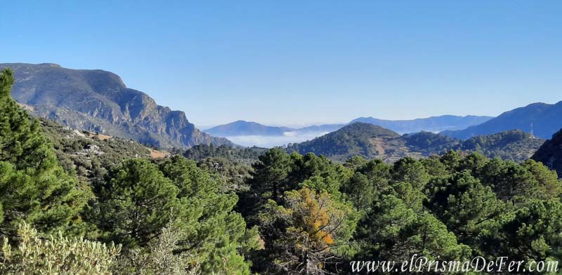 Vistas a las montañas verdes del Rif en Marruecos