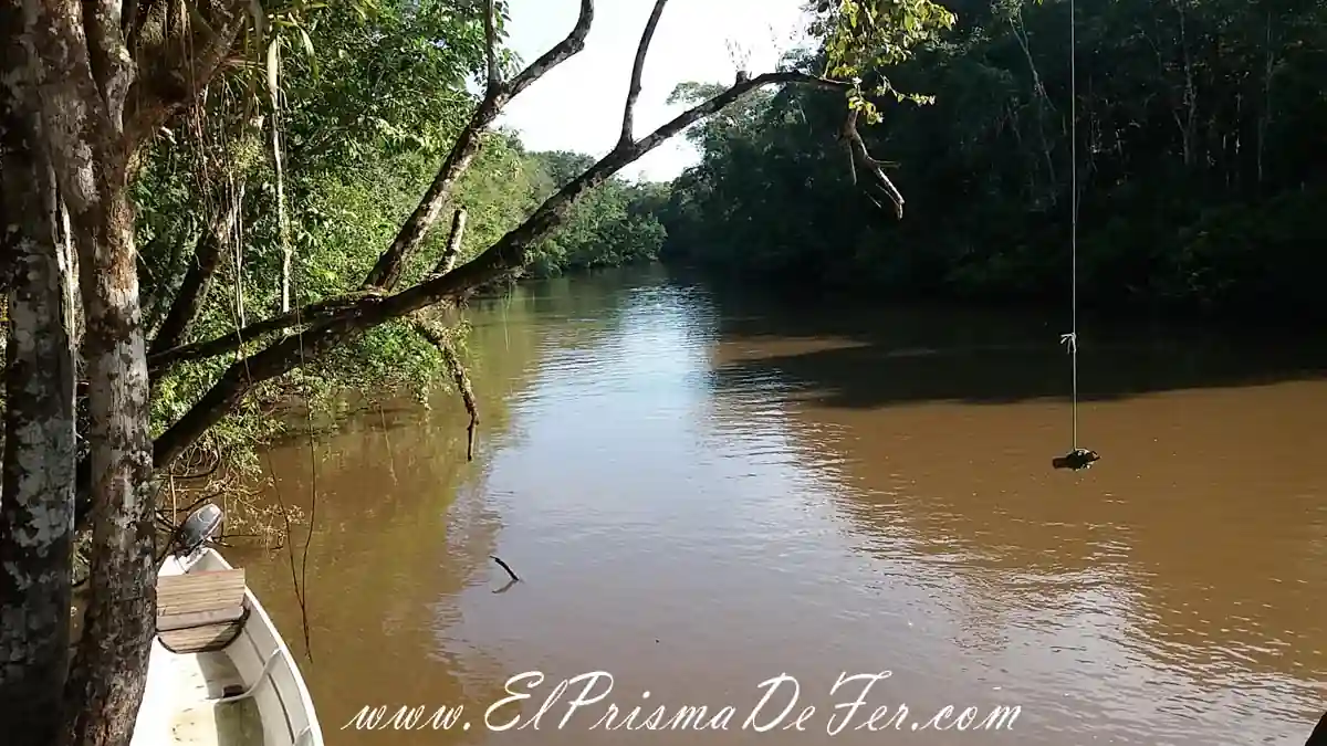 Reserva de Cuyabeno en Ecuador