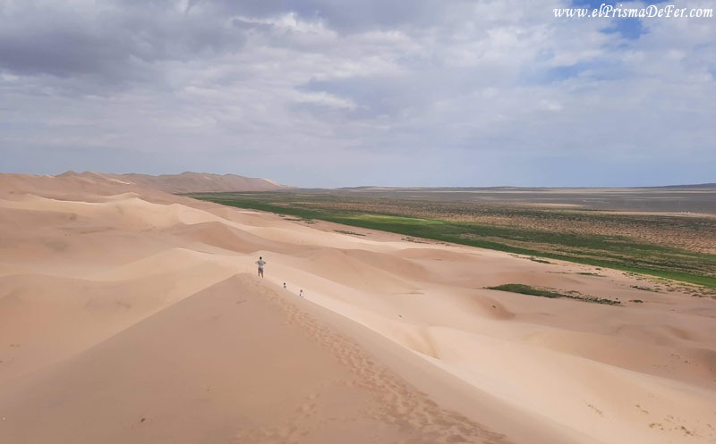 Majestuoso las dunas y el desierto de Gobi - Mongolia