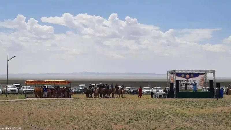Festival Naadam en Mongolia: tradición y festejo en un pueblo local
