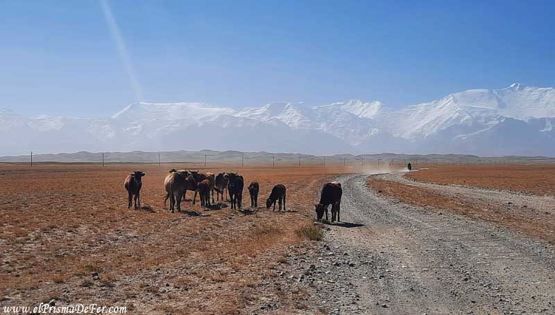 Inicio del trekking al campamento base del Lenin Peak