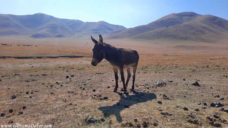 Comienzo del trekking al lago Song Kul - Kirguistán