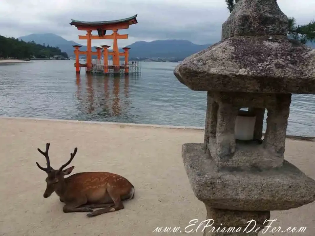 Torii flotante en Isla Miyajima