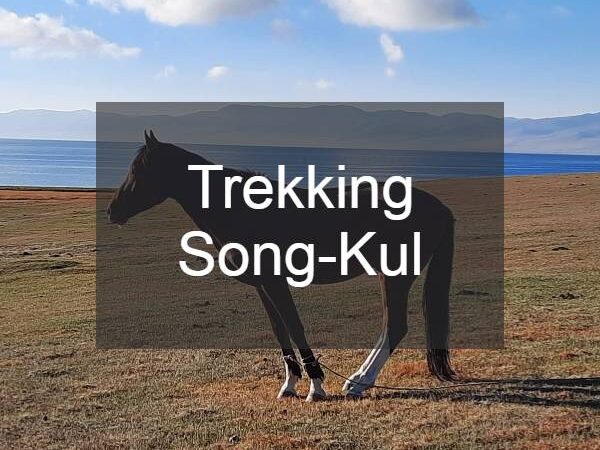 Descargá la ruta de trekking al lago Song-Kul en Kirguistán (kml/kmz)
