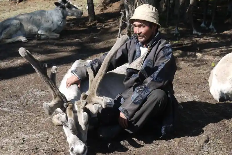 Etnia Tsaatan, la gente de los renos - Norte de Mongolia